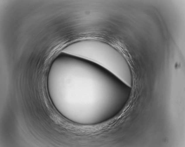 X0000090770001200707201124