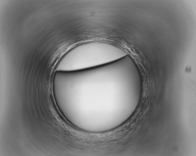 X0000090770002200707201124