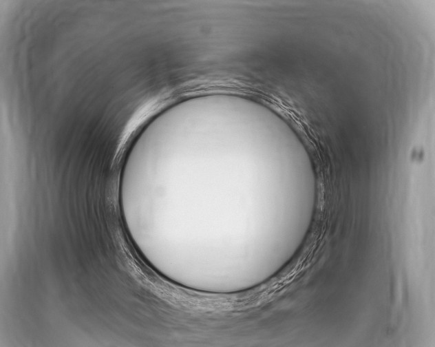 X0000090770004200707201124