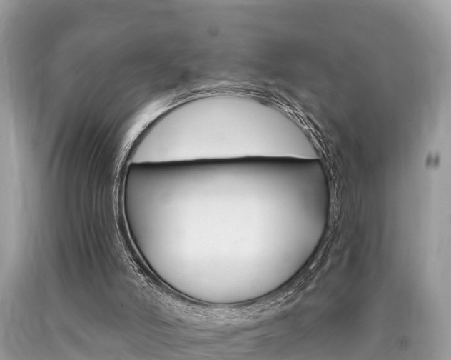 X0000090770006200707201124