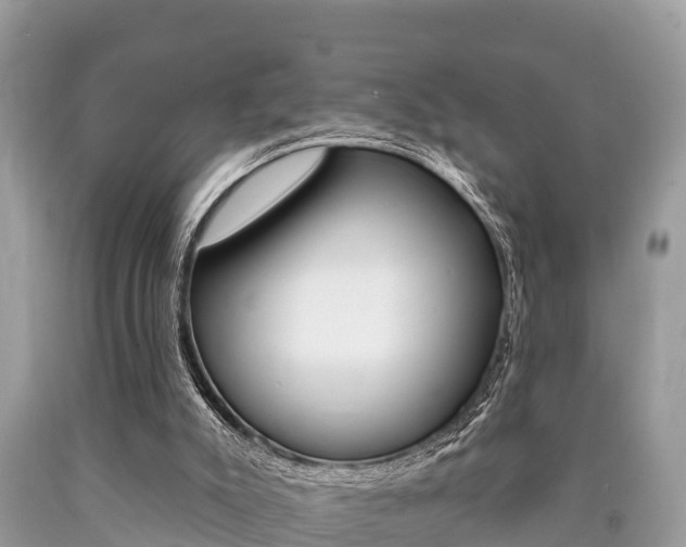 X0000090770007200707201124