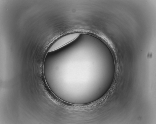 X0000090770009200707201124