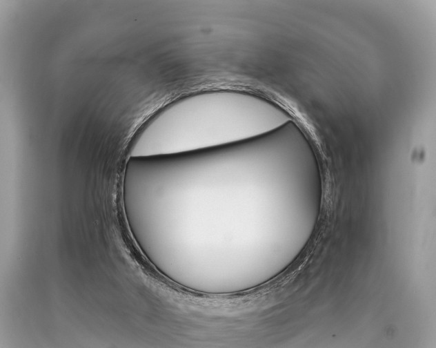 X0000090770010200707201124