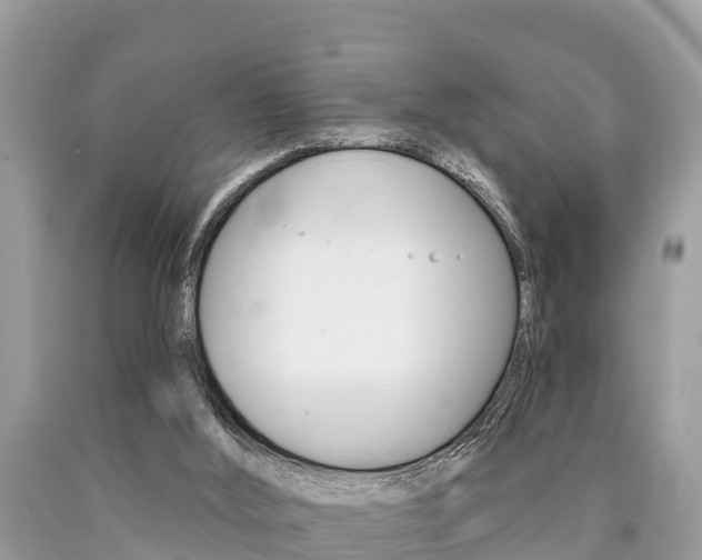 X0000090770012200707201123