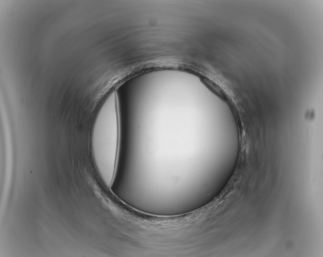 X0000090770013200707201123