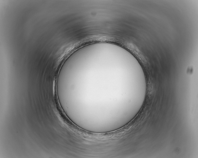 X0000090770014200707201123