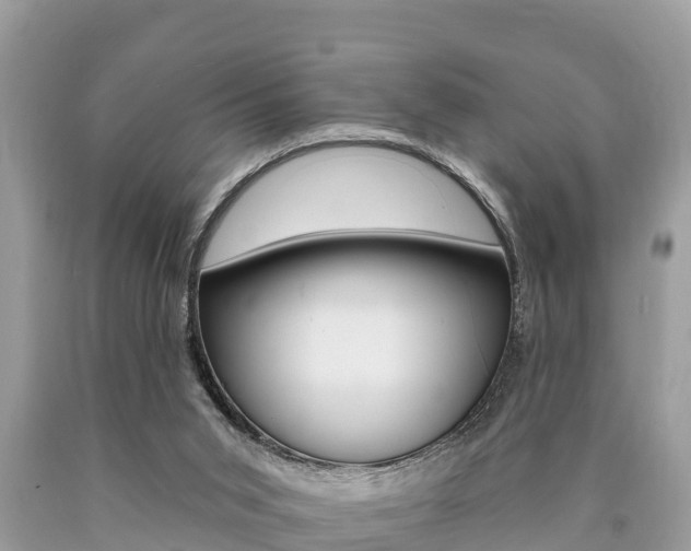 X0000090770015200707201123