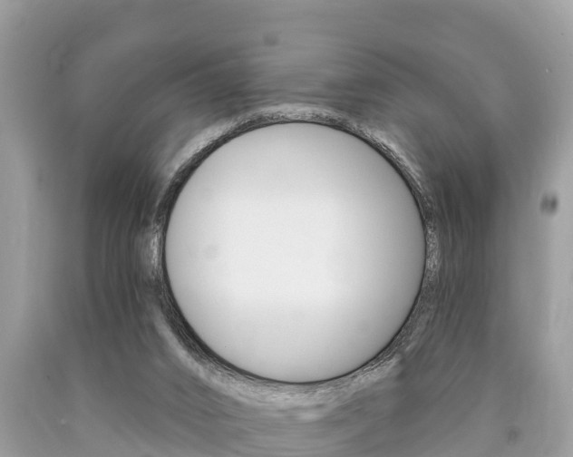 X0000090770016200707201123
