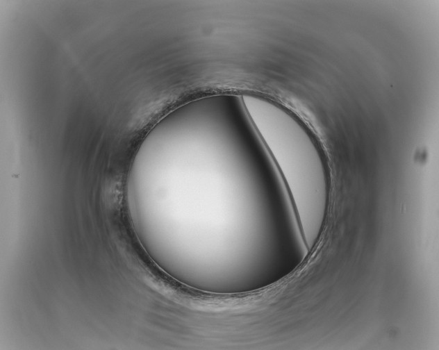 X0000090770017200707201123