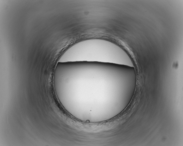 X0000090770018200707201123