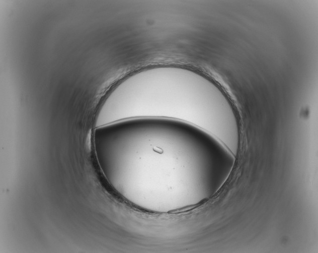 X0000090770019200707201123