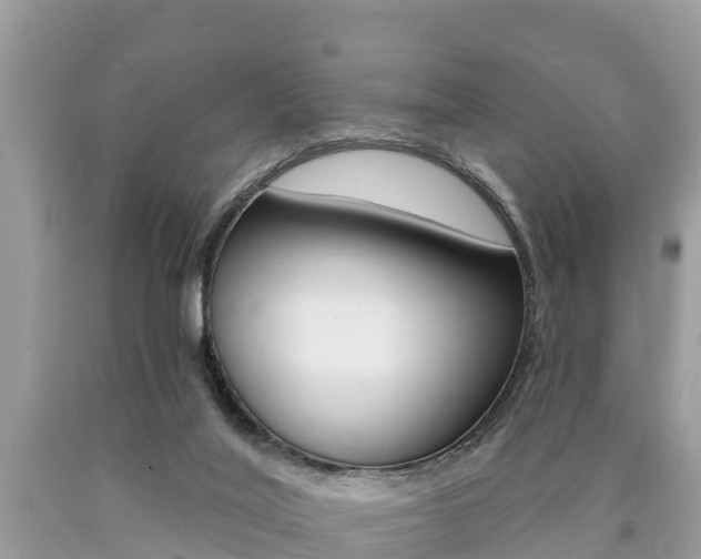 X0000090770020200707201123