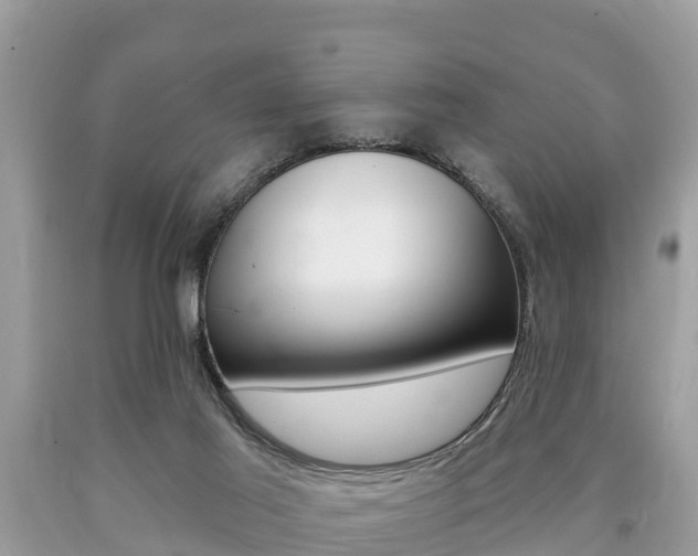 X0000090770021200707201123