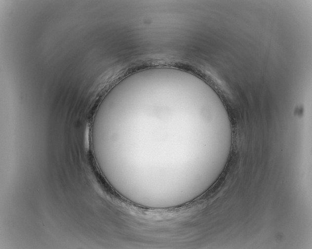 X0000090770022200707201123