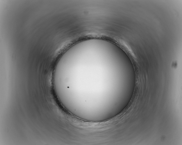 X0000090770023200707201123
