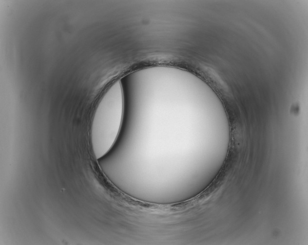 X0000090770024200707201123