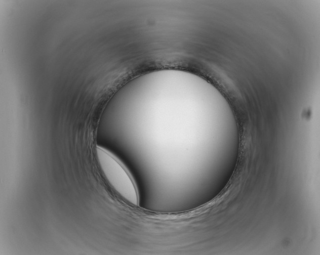 X0000090770025200707201123