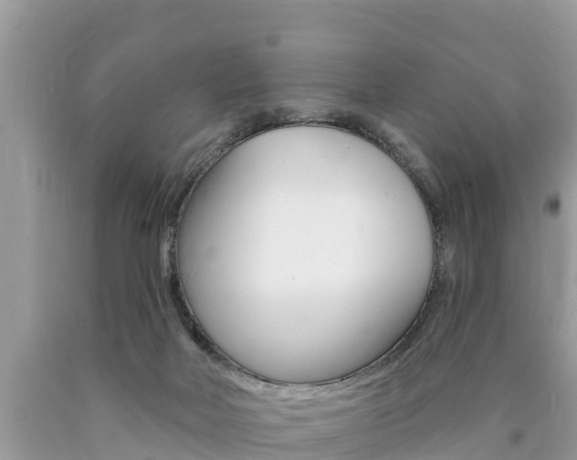 X0000090770026200707201123
