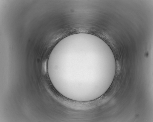 X0000090770028200707201123