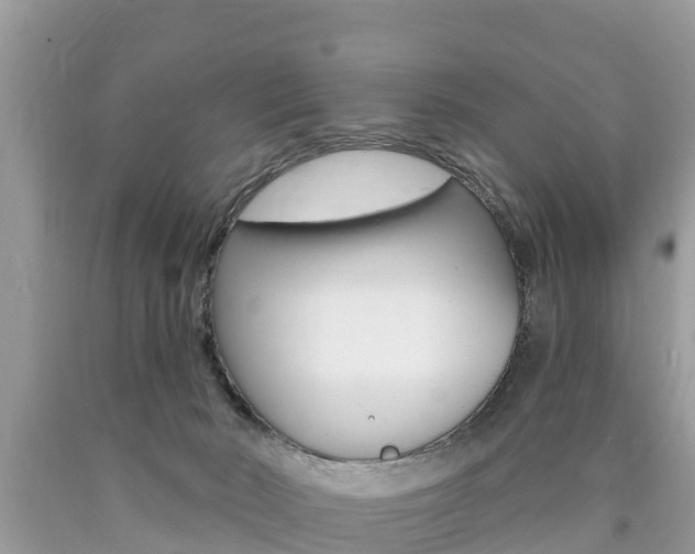 X0000090770030200707201123