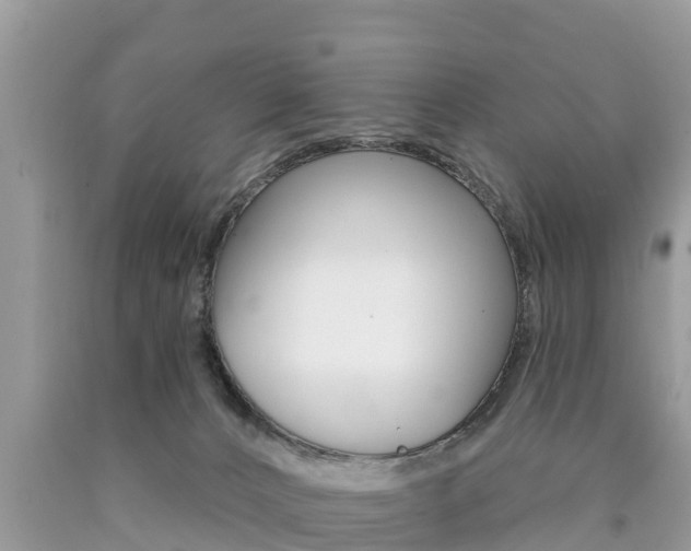 X0000090770032200707201123