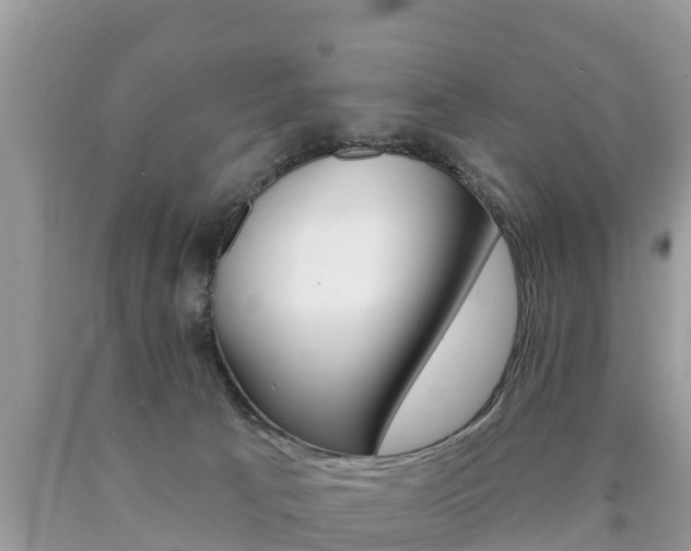 X0000090770033200707201123