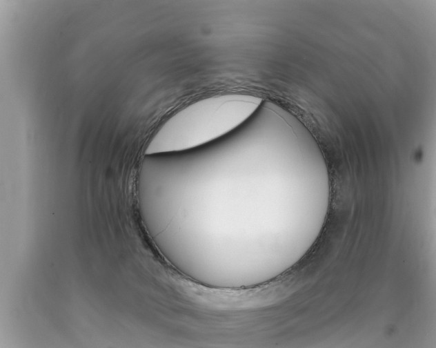 X0000090770034200707201123