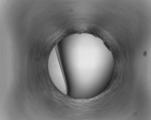 X0000090770037200707201123