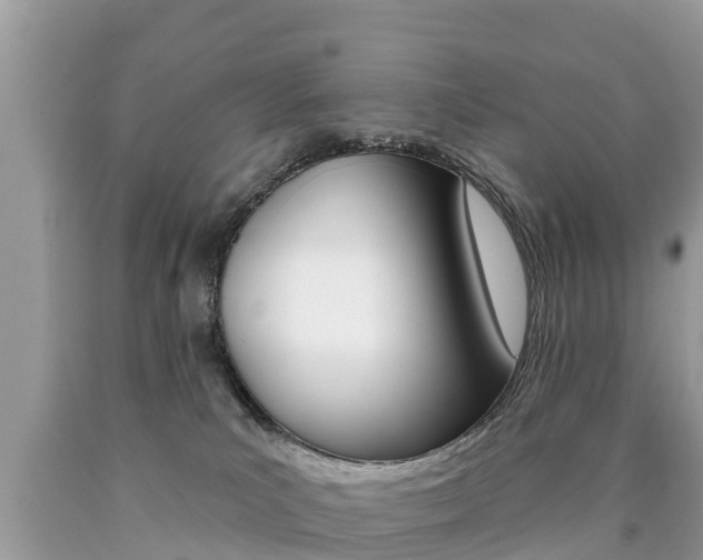 X0000090770039200707201123
