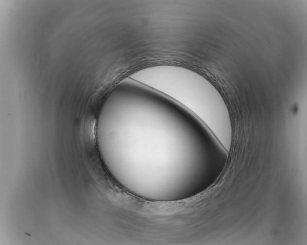 X0000090770041200707201123