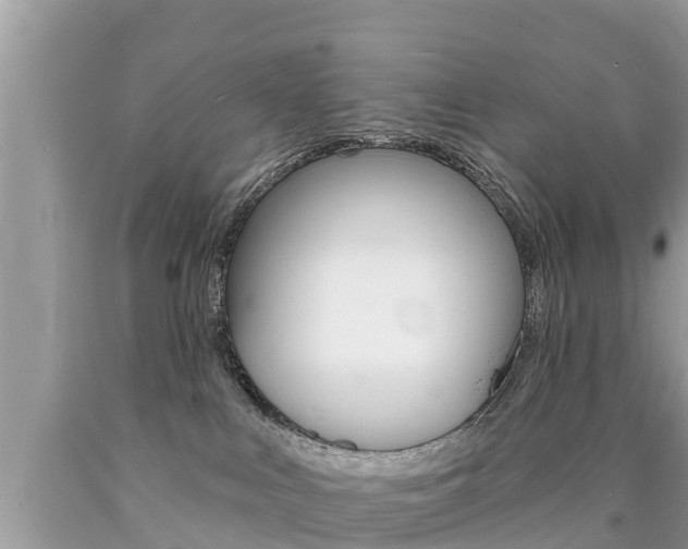 X0000090770043200707201123