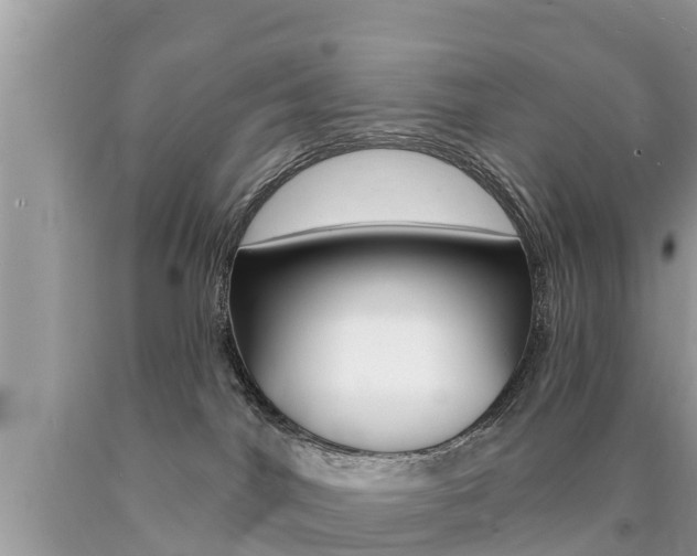 X0000090770044200707201123