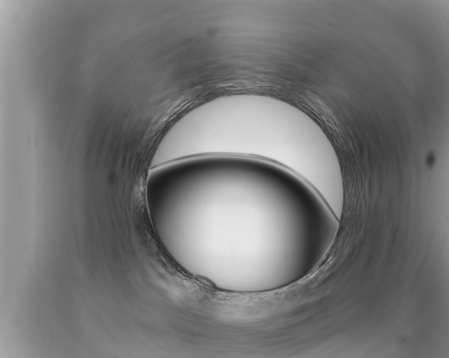 X0000090770045200707201123