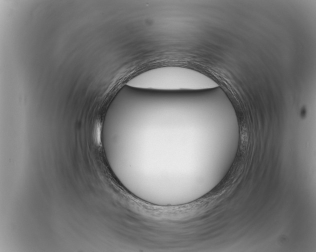 X0000090770046200707201123