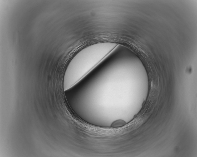 X0000090770048200707201123