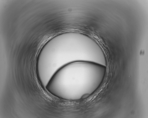 X0000090770049200707201122