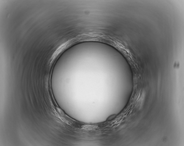 X0000090770051200707201122