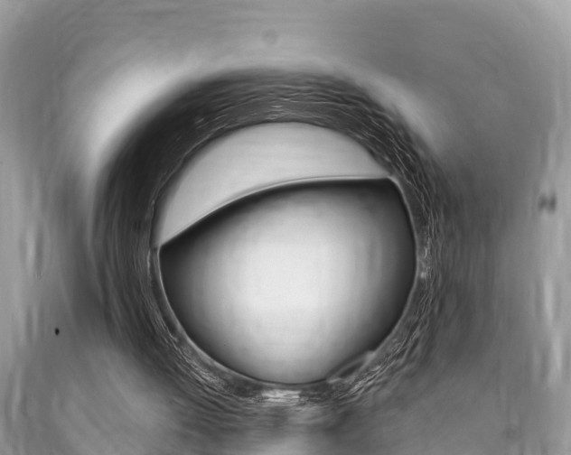 X0000090770052200707201122