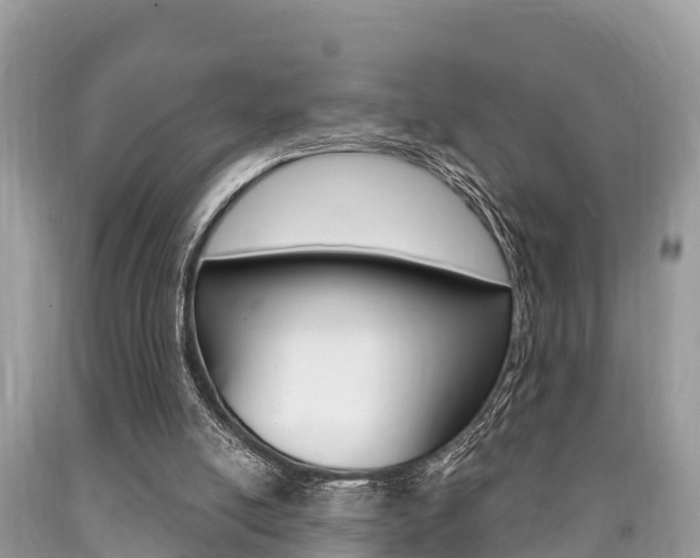 X0000090770054200707201122