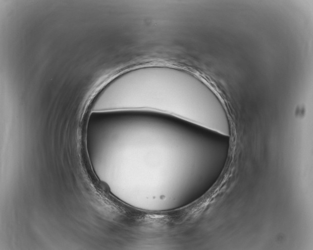 X0000090770055200707201123