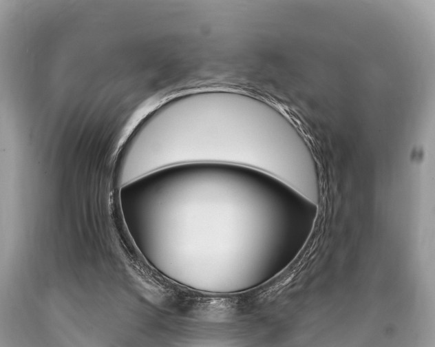 X0000090770056200707201123