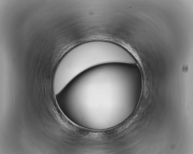 X0000090770057200707201123