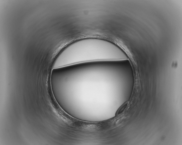 X0000090770058200707201123
