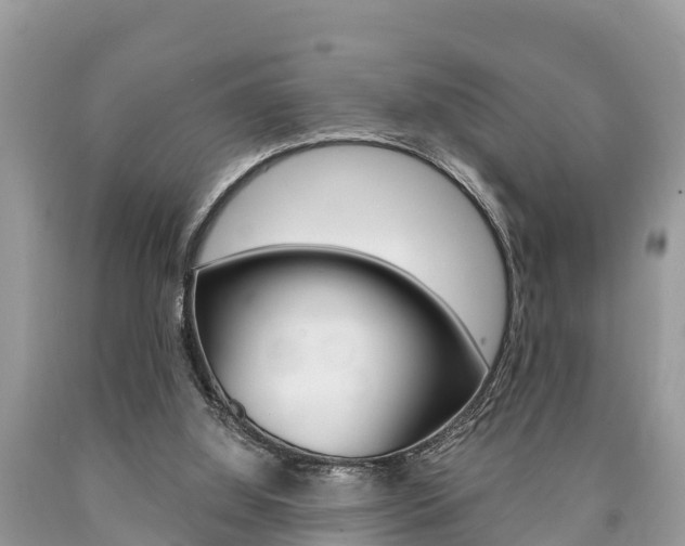 X0000090770060200707201123