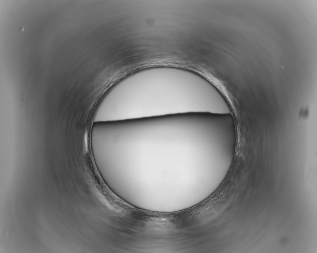 X0000090770061200707201123