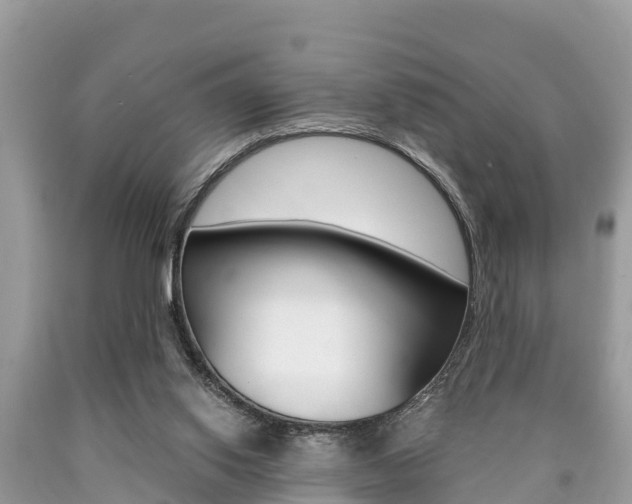 X0000090770062200707201123