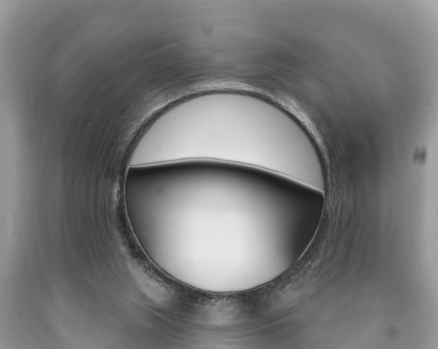 X0000090770063200707201123