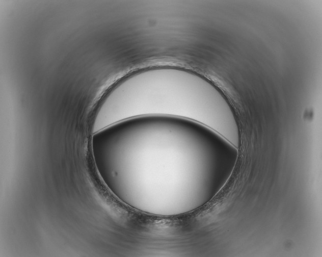 X0000090770064200707201123