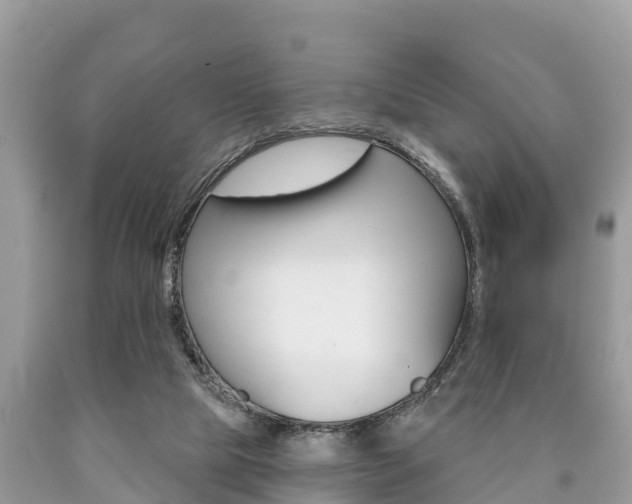 X0000090770065200707201123
