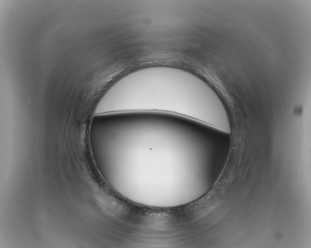 X0000090770066200707201123